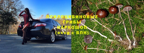 марки lsd Алексеевка